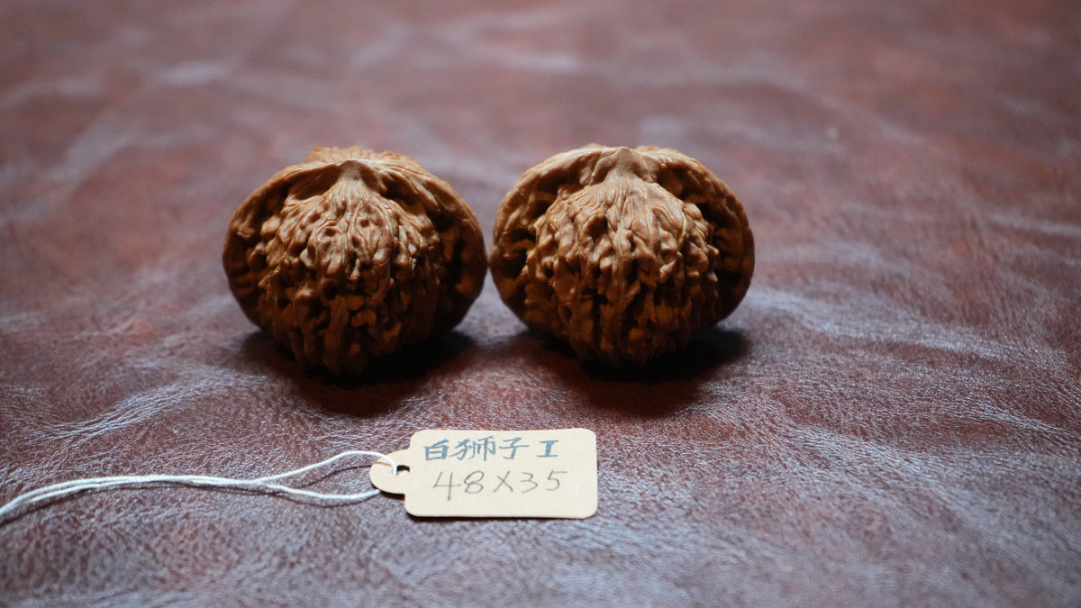 White Lion Wenwan Walnut Pair I