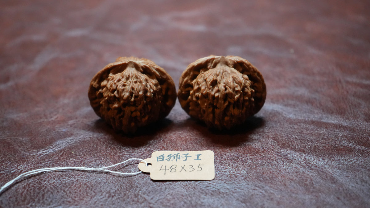 White Lion Wenwan Walnut Pair I