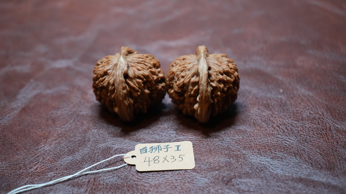 White Lion Wenwan Walnut Pair I