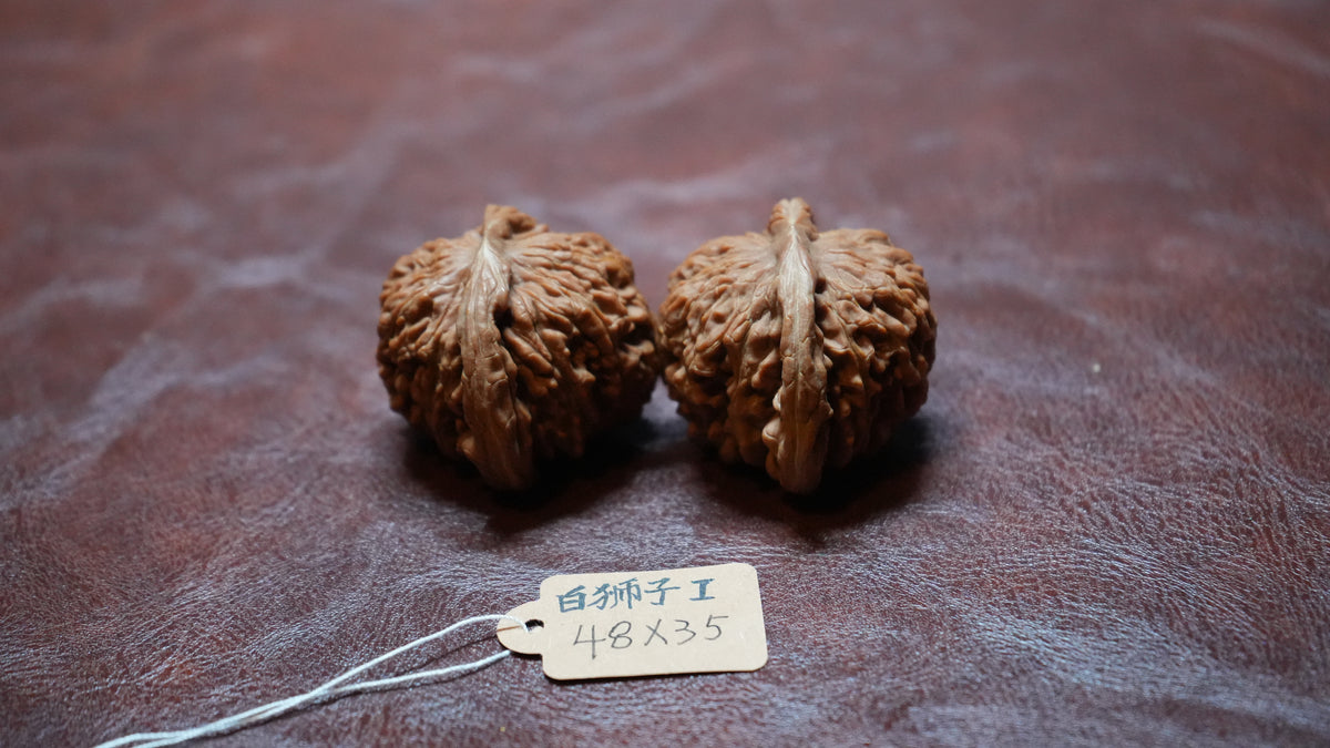 White Lion Wenwan Walnut Pair I