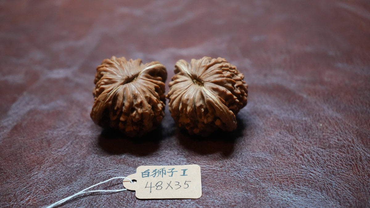 White Lion Wenwan Walnut Pair I