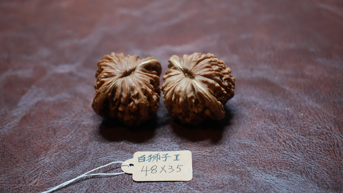 White Lion Wenwan Walnut Pair I