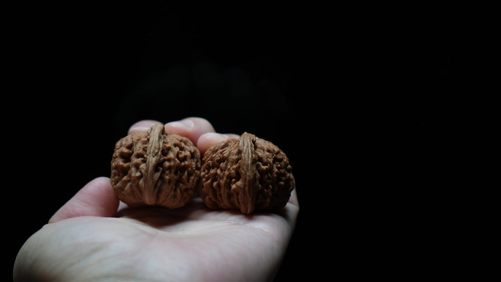 White Lion Wenwan Walnut Pair I