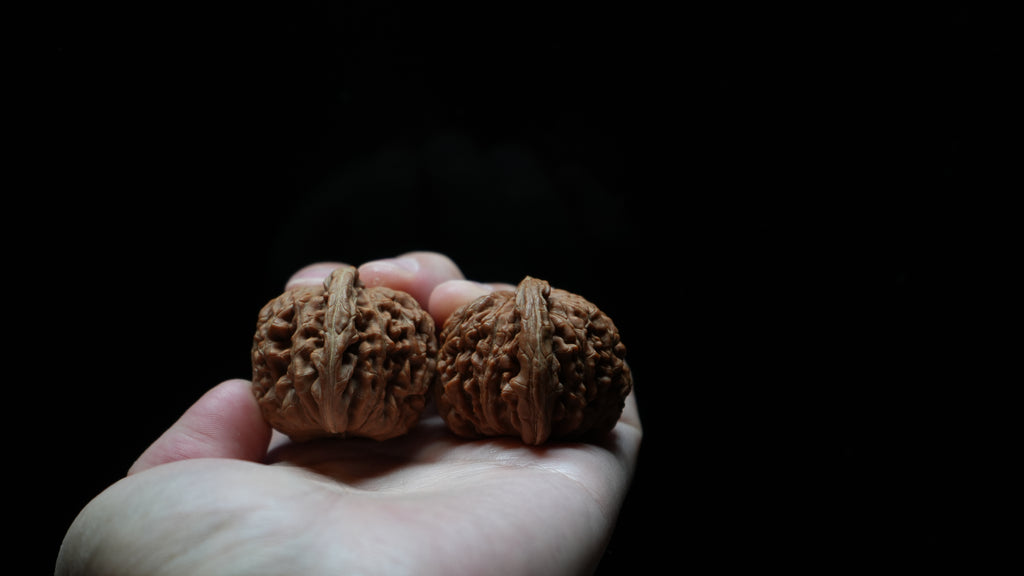 White Lion Wenwan Walnut Pair I