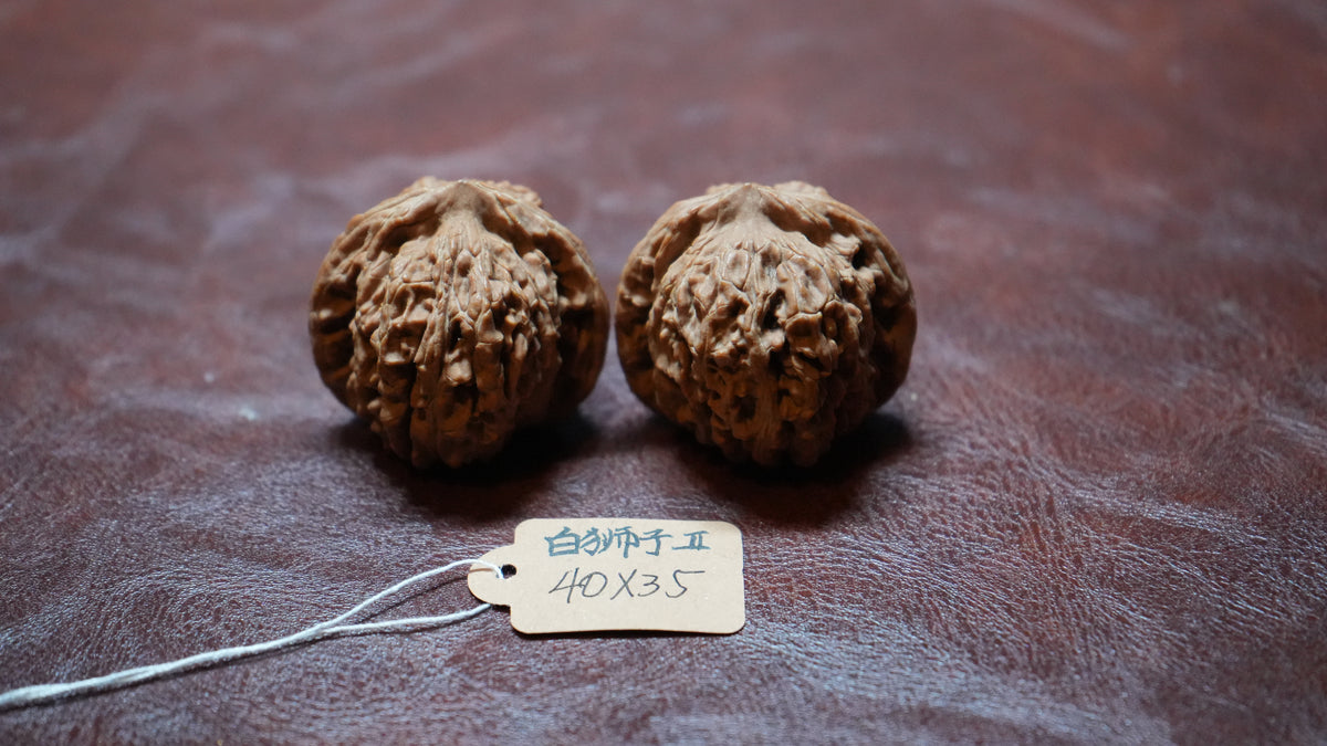 White Lion Wenwan Walnut Pair II