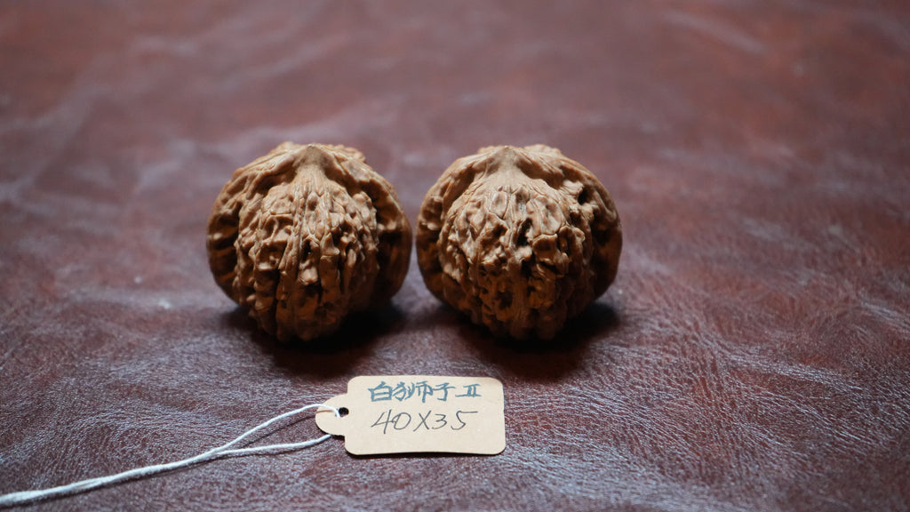 White Lion Wenwan Walnut Pair II