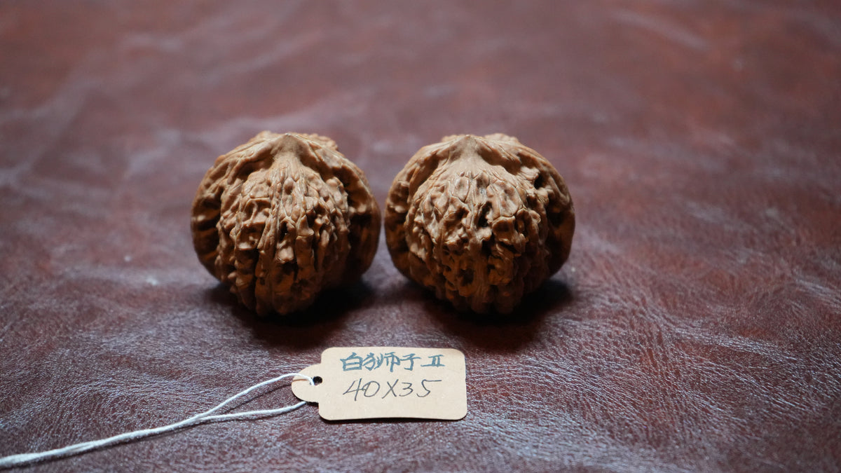 White Lion Wenwan Walnut Pair II