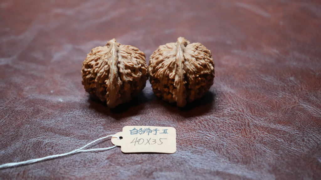 White Lion Wenwan Walnut Pair II