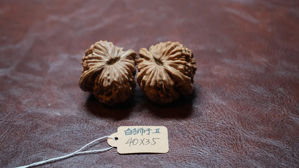 White Lion Wenwan Walnut Pair II