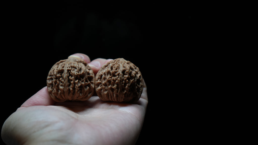 White Lion Wenwan Walnut Pair II