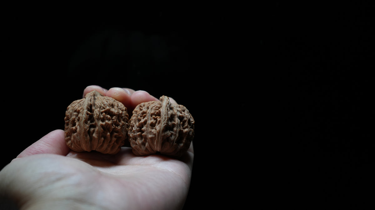 White Lion Wenwan Walnut Pair II