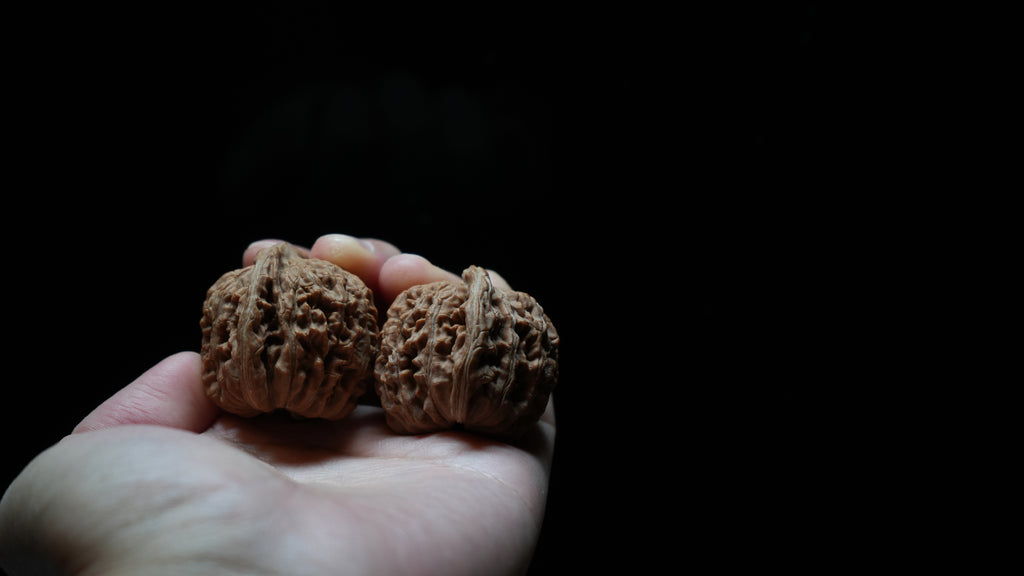 White Lion Wenwan Walnut Pair II