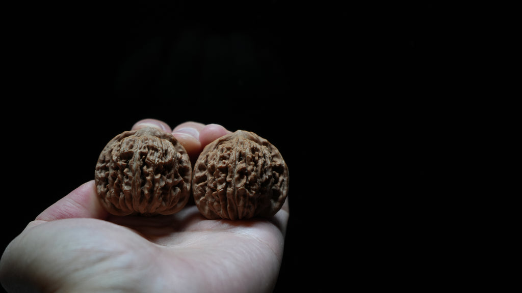 White Lion Wenwan Walnut Pair II