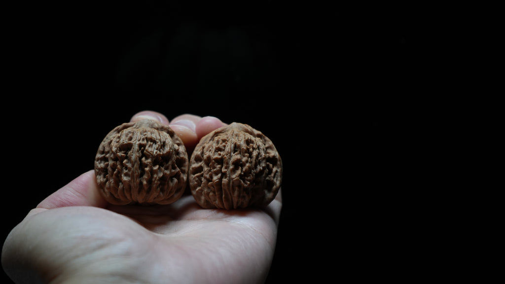 White Lion Wenwan Walnut Pair II