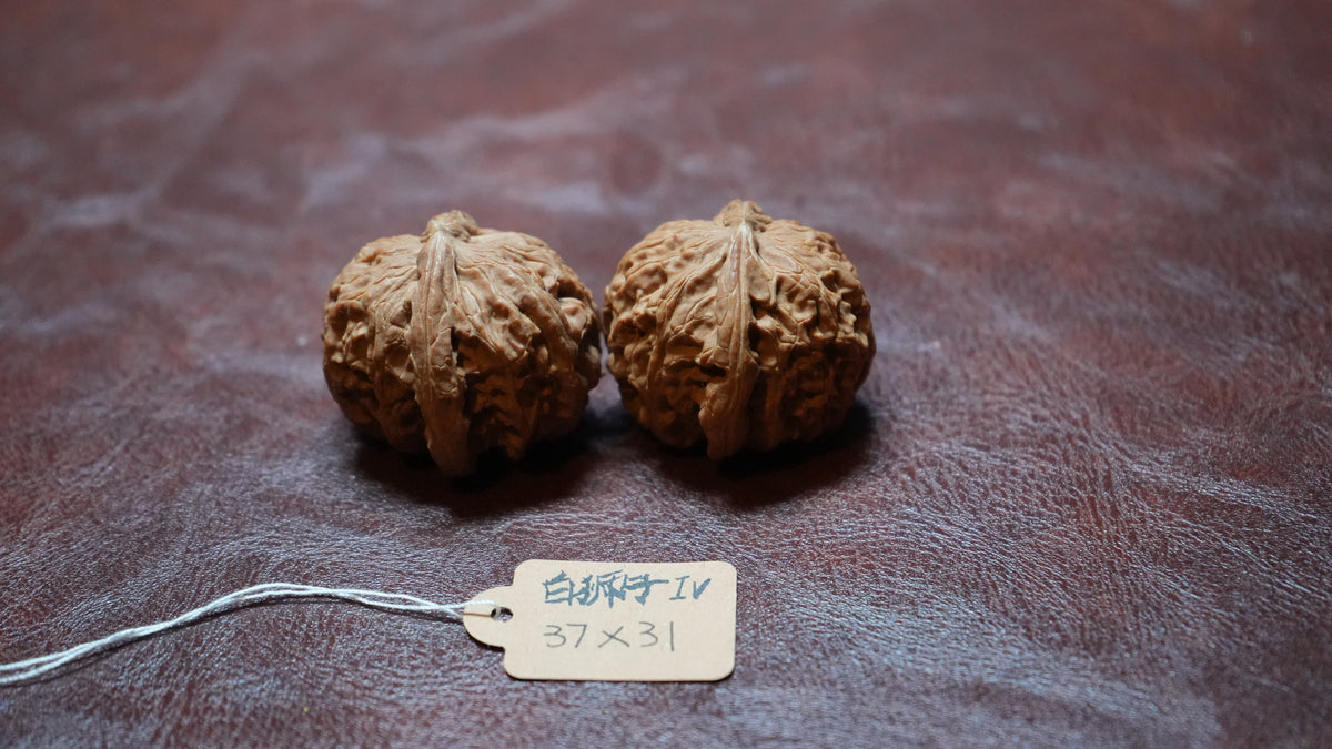White Lion Wenwan Walnut Pair IV