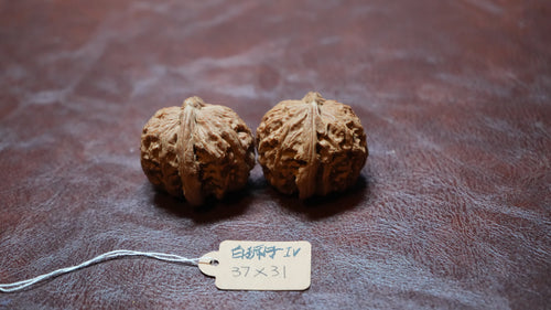 White Lion Wenwan Walnut Pair IV