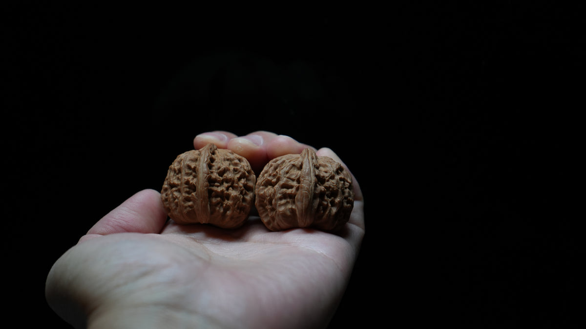 White Lion Wenwan Walnut Pair IV