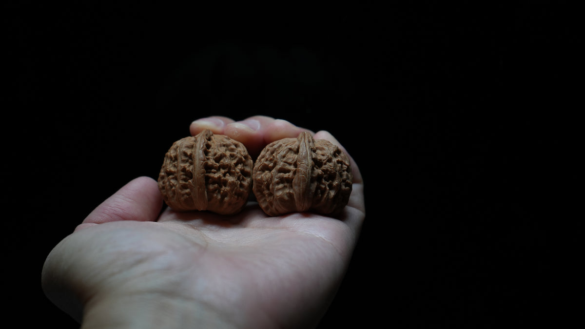 White Lion Wenwan Walnut Pair IV