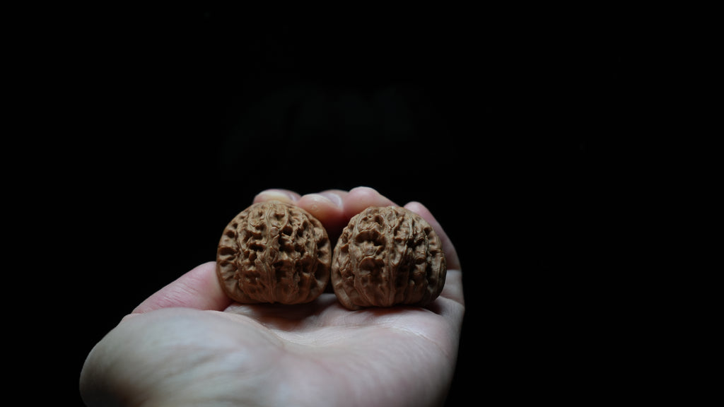 White Lion Wenwan Walnut Pair IV