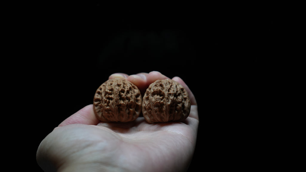 White Lion Wenwan Walnut Pair IV