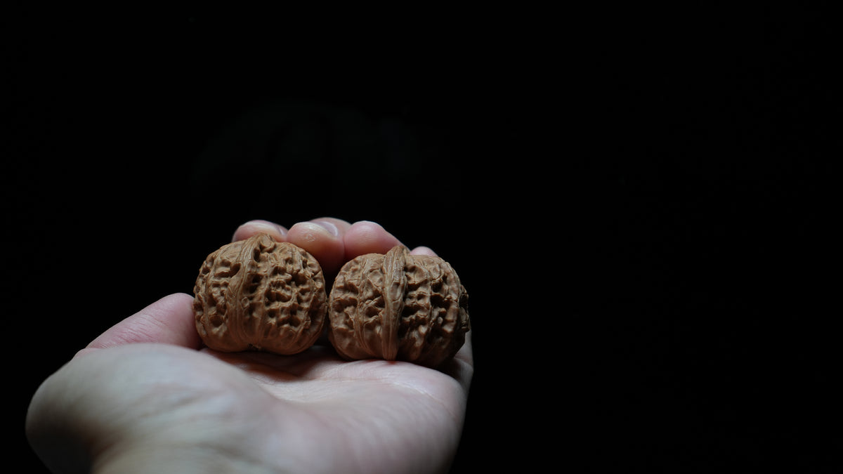 White Lion Wenwan Walnut Pair IV