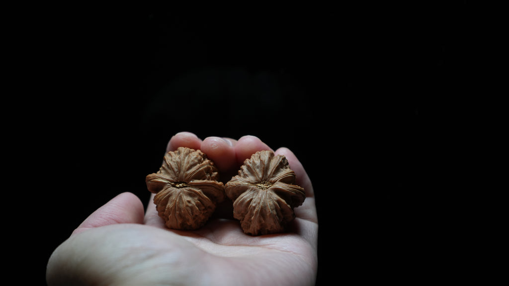 White Lion Wenwan Walnut Pair IV