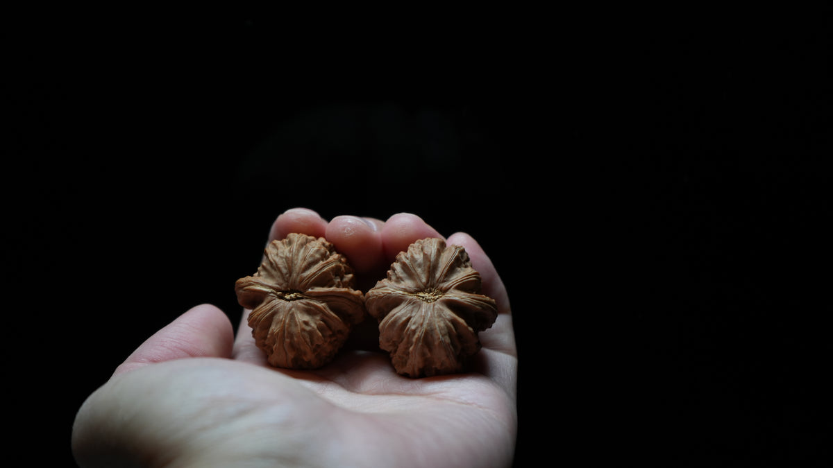 White Lion Wenwan Walnut Pair IV