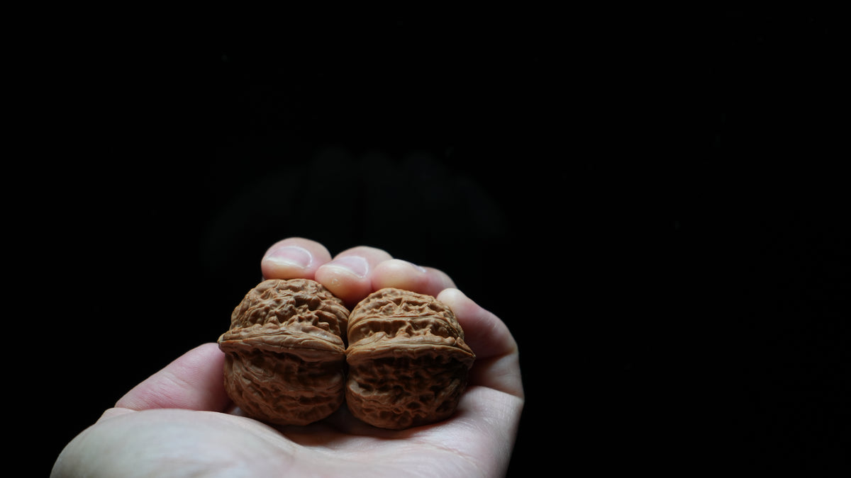 White Lion Wenwan Walnut Pair IV