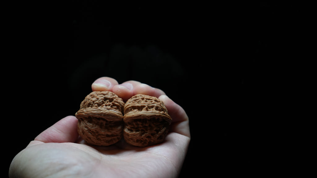 White Lion Wenwan Walnut Pair IV