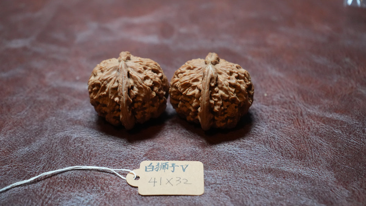 White Lion Wenwan Walnut Pair V