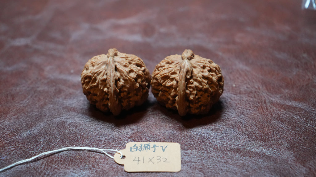 White Lion Wenwan Walnut Pair V