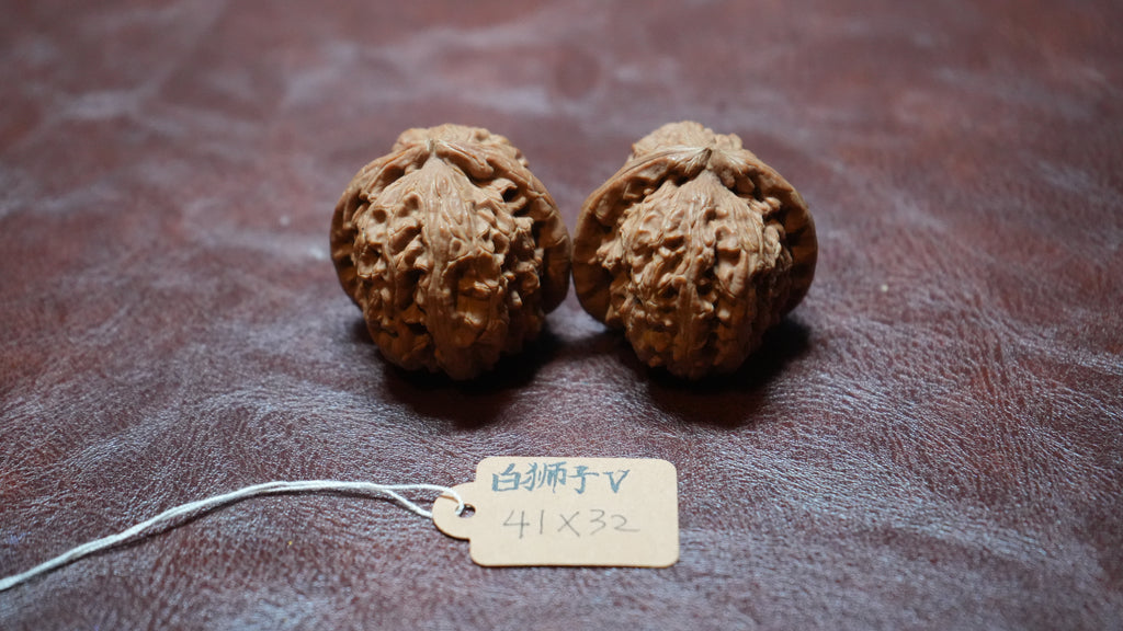 White Lion Wenwan Walnut Pair V