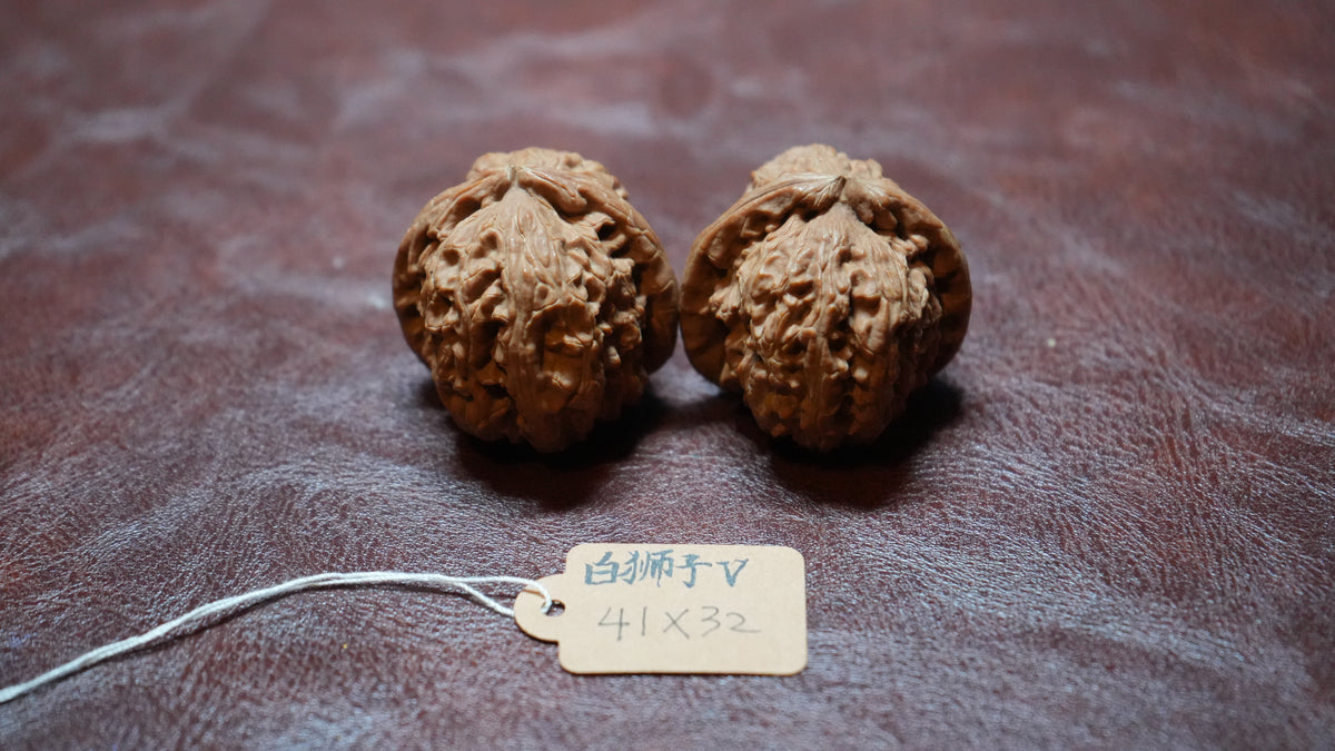 White Lion Wenwan Walnut Pair V