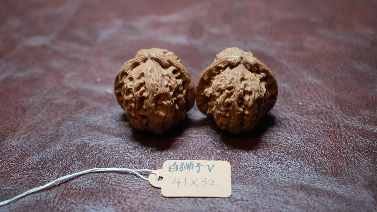 White Lion Wenwan Walnut Pair V