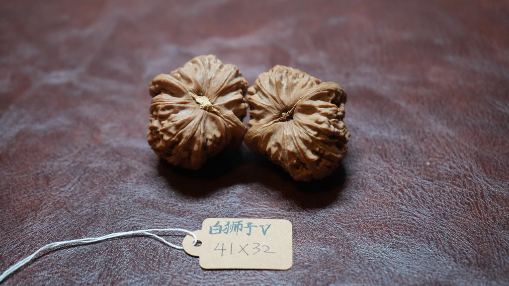 White Lion Wenwan Walnut Pair V