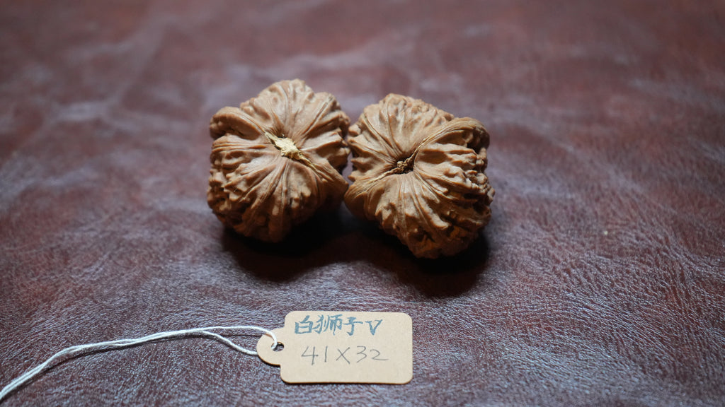 White Lion Wenwan Walnut Pair V