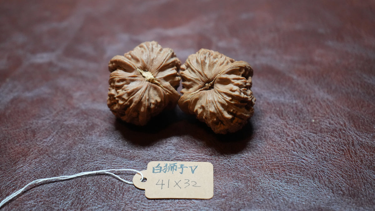 White Lion Wenwan Walnut Pair V