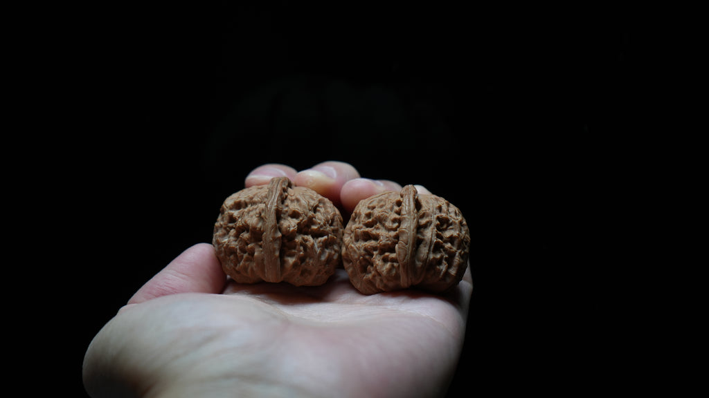 White Lion Wenwan Walnut Pair V