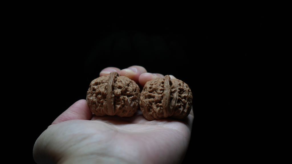 White Lion Wenwan Walnut Pair V