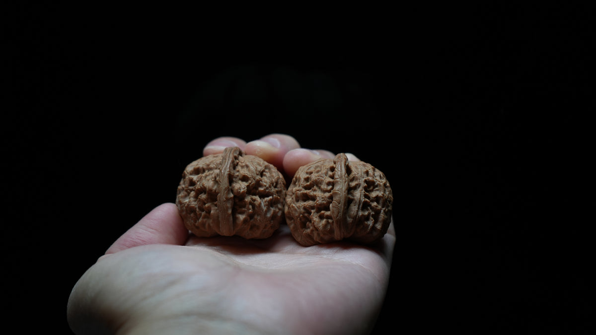 White Lion Wenwan Walnut Pair V
