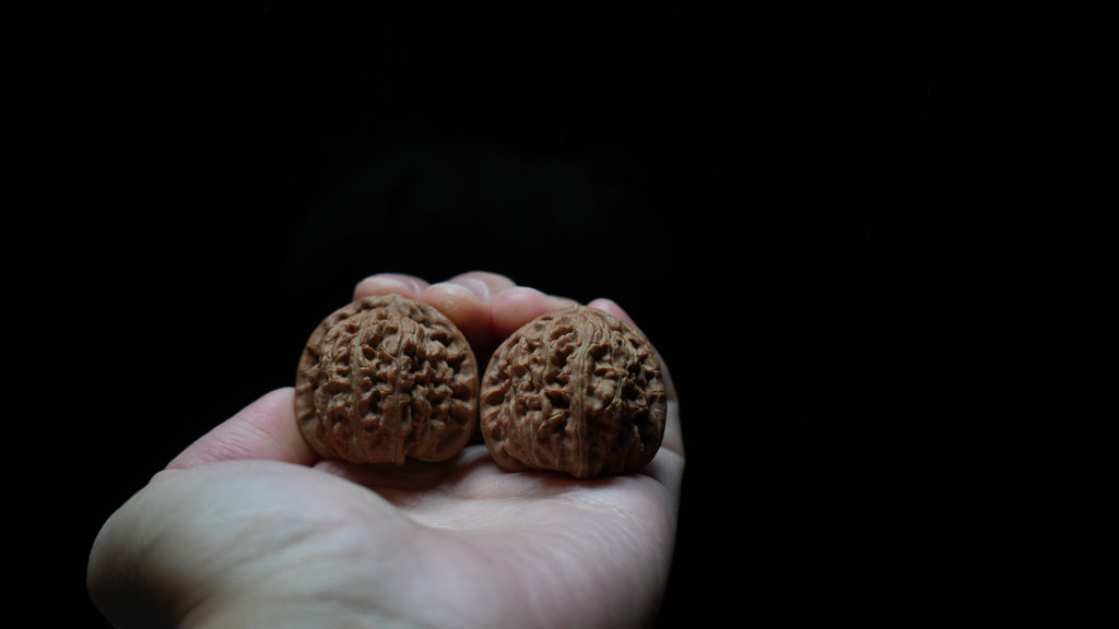 White Lion Wenwan Walnut Pair V