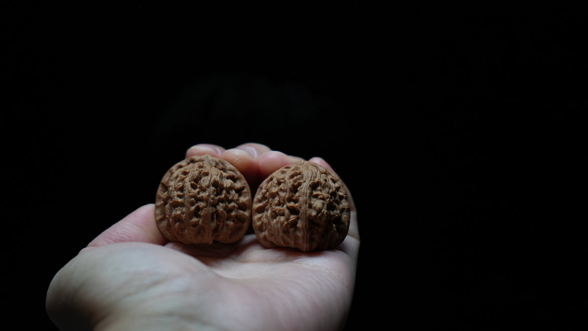 White Lion Wenwan Walnut Pair V
