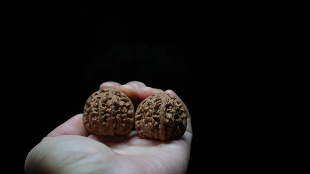 White Lion Wenwan Walnut Pair V