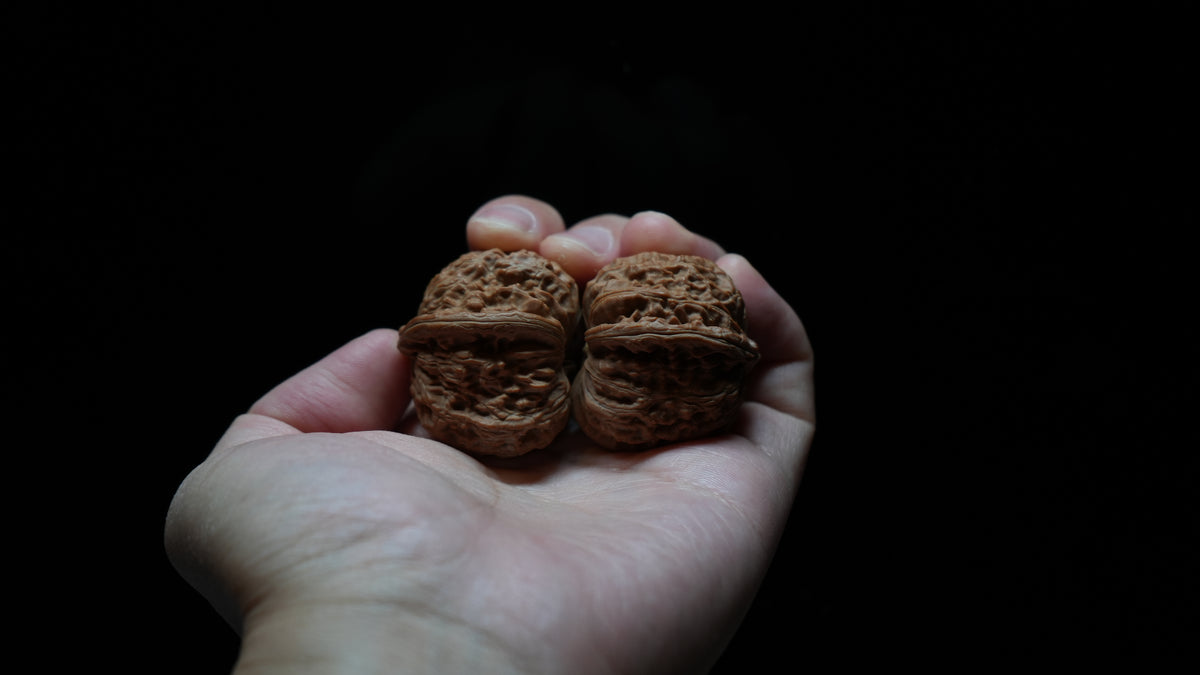 White Lion Wenwan Walnut Pair V