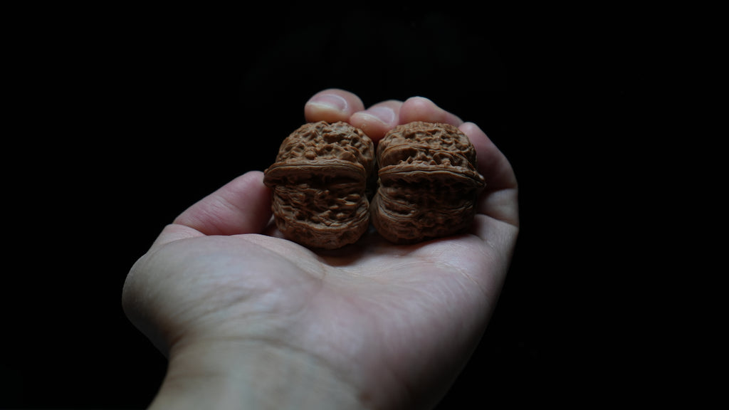 White Lion Wenwan Walnut Pair V