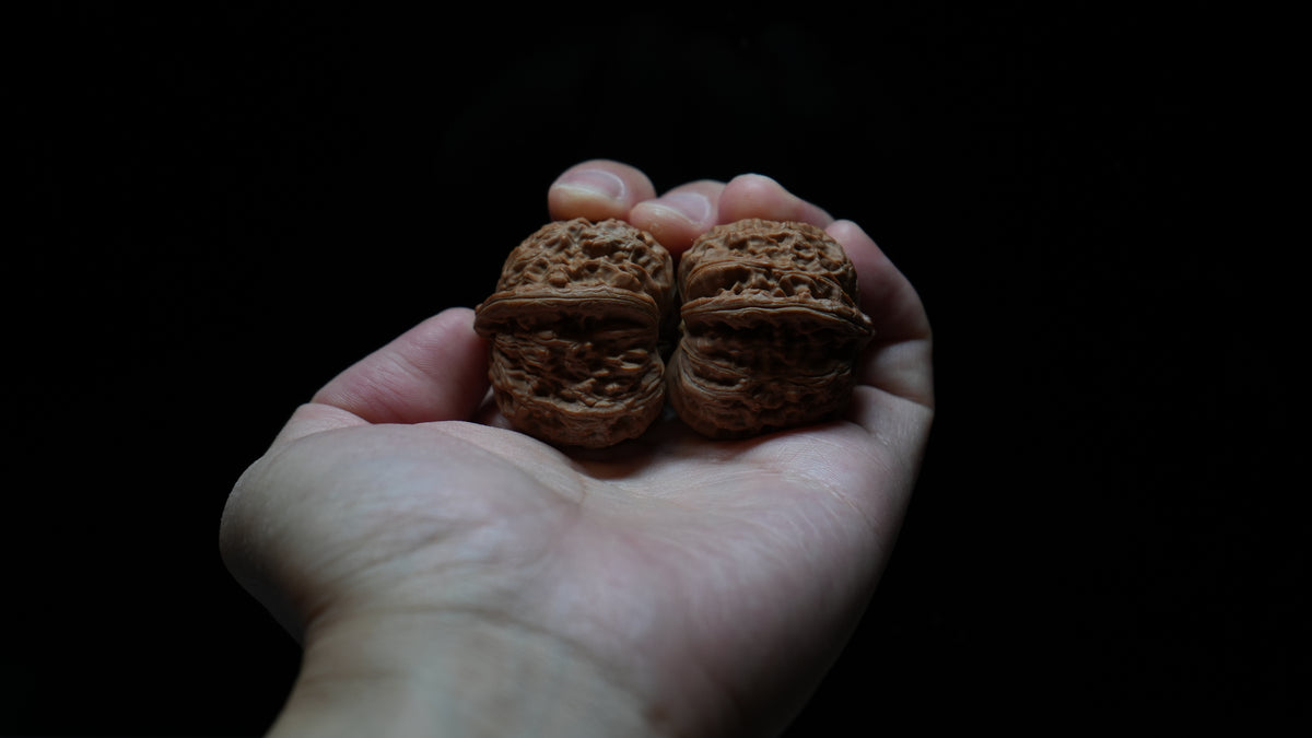 White Lion Wenwan Walnut Pair V