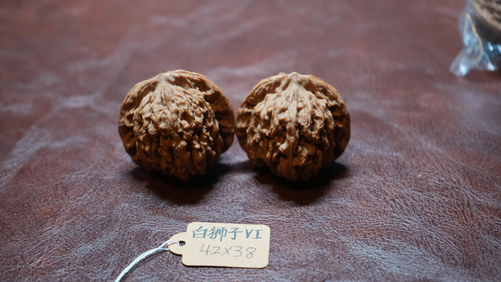 White Lion Wenwan Walnut Pair VI
