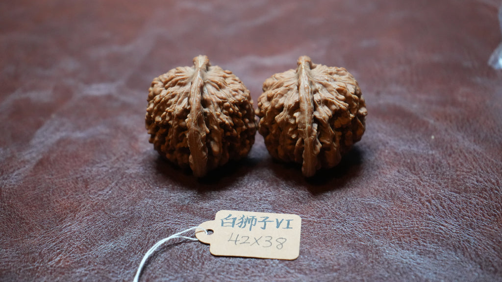 White Lion Wenwan Walnut Pair VI
