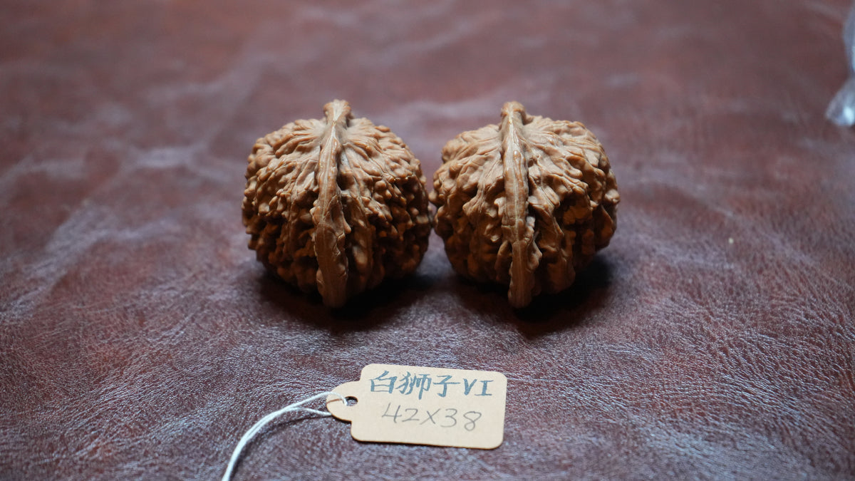 White Lion Wenwan Walnut Pair VI