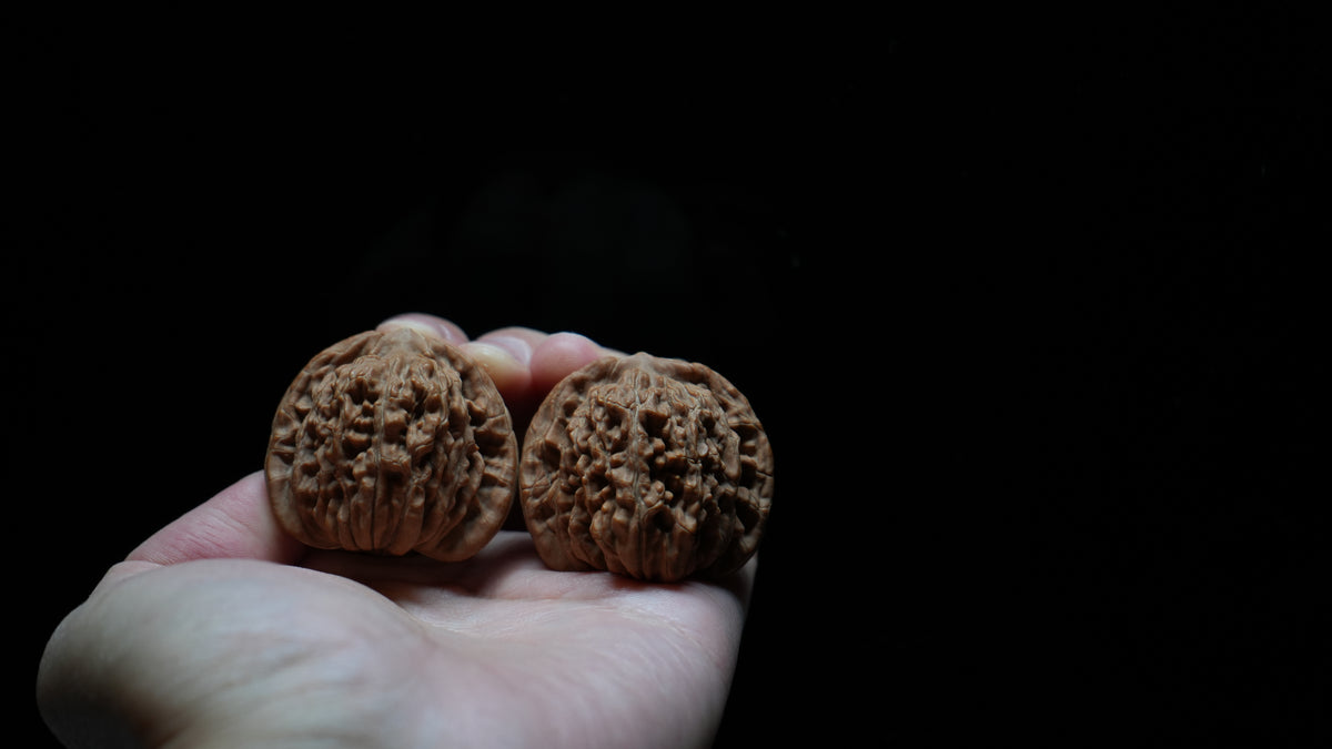 White Lion Wenwan Walnut Pair VI